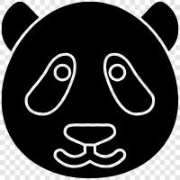 the search engine giant, Google, Panda icon svg