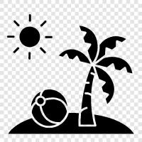 the sun, the beach, tan, vacation icon svg