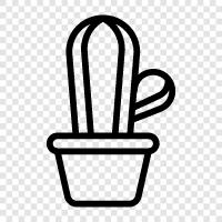 thorny, spiny, prickly, desert icon svg