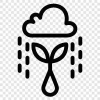 thunderstorms, umbrellas, precipitation, wet icon svg