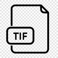 tif file, tif image, tif converter, tif editor icon svg