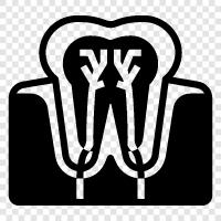 toothache, toothache pain, toothache remedies, toothache prevention icon svg