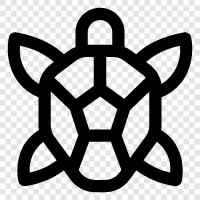 Schildkröte, langsam, faul, lethargisch symbol