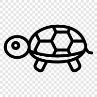 tortoise, slow, sloth, sluggish icon svg