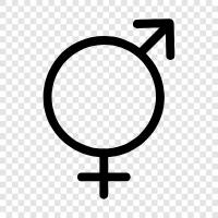 transgender, trans, transgender people, transgender issues icon svg