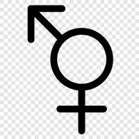 transgender, gender identity, gender expression, transgender health icon svg