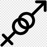 transgender, gender identity, transgender identity, transgender people icon svg