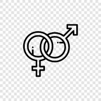 transgender, gender identity, transgender identity, gender expression icon svg