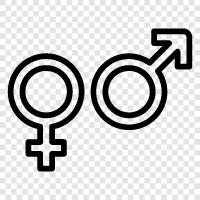 transgender, gender identity, gender expression, transgender identity icon svg