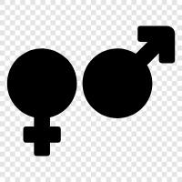 transgender, transphobia, transgender rights, gender identity icon svg