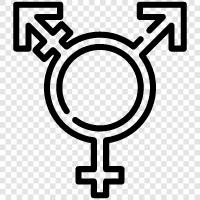 transseksüel, transgender bayrağı, transgender gururu, transgender geçmişi ikon svg