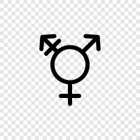 transgenderism, transgender people, transgender rights, transgender activism icon svg