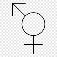 transition, transgender, transsexual, gender identity icon svg