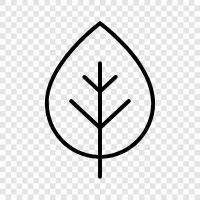 tree, leaves, blade, structure icon svg