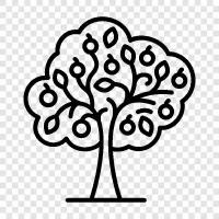 tree, trees, planting, grow icon svg