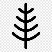 tree branches, tree leaves, tree bark, tree roots icon svg