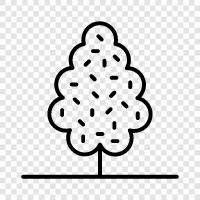 Tree Climbing, Tree Houses, Tree Stumps, Tree Leaves icon svg