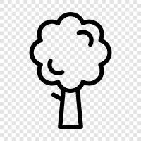 tree, forestry, lumber, wood icon svg