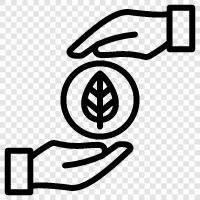 tree, plant, growth, sapling growth icon svg