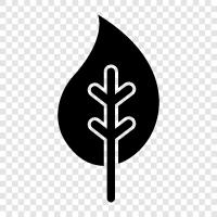 tree, leaves, twig, branch icon svg