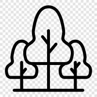 tree, grow, leaf, branch icon svg