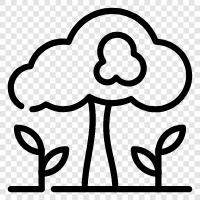 tree, plants, botany, trees icon svg