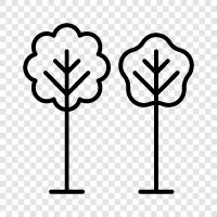 tree, planting, growth, landscaping icon svg