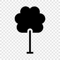 tree, trees, forestry, lumber icon svg