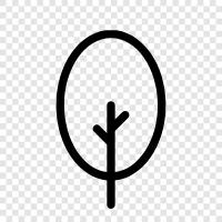 tree, growth, branch, leaves icon svg