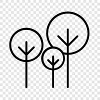 tree, leaves, branches, bark icon svg