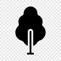 tree, trees, bark, leaves icon svg