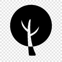 tree, trees, growth, height icon svg