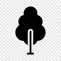 tree, trees, foliage, leaves icon svg