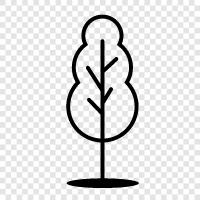 tree icon svg