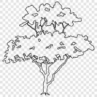 tree icon svg