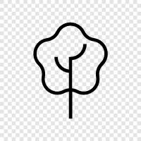 tree icon svg