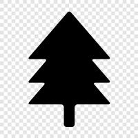 tree, pine, forest, holiday icon svg