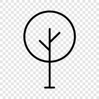 tree, leaf, bark, root icon svg