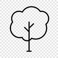 Tree icon svg