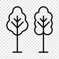 tree, forestry, wood, lumber icon svg