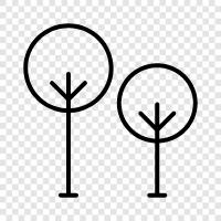 tree, forest, foliage, leaves icon svg