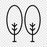 tree, forestry, leaves, bark icon svg