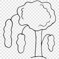 tree icon svg