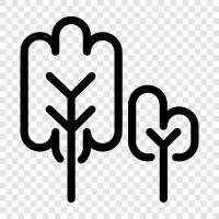 tree, leaves, bark, sap icon svg