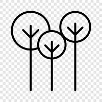 tree, forestry, planting, care icon svg