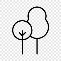 tree, leaves, buds, flowers icon svg