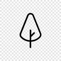 Baum symbol