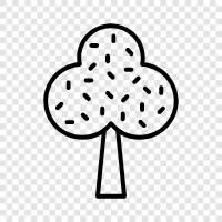 tree, trees, bark, leaves icon svg