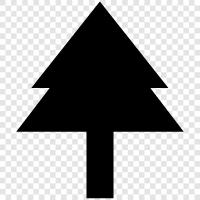 tree icon svg