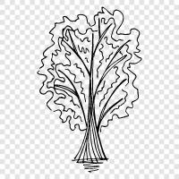 tree icon svg